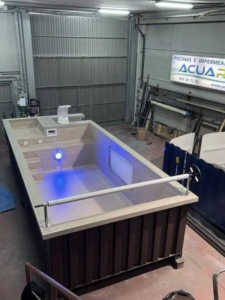 contenedor de 20 pies transformado en piscina - Imagen 2